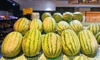 长沙西瓜价格“大跳水”“吃瓜自由”提前到位
